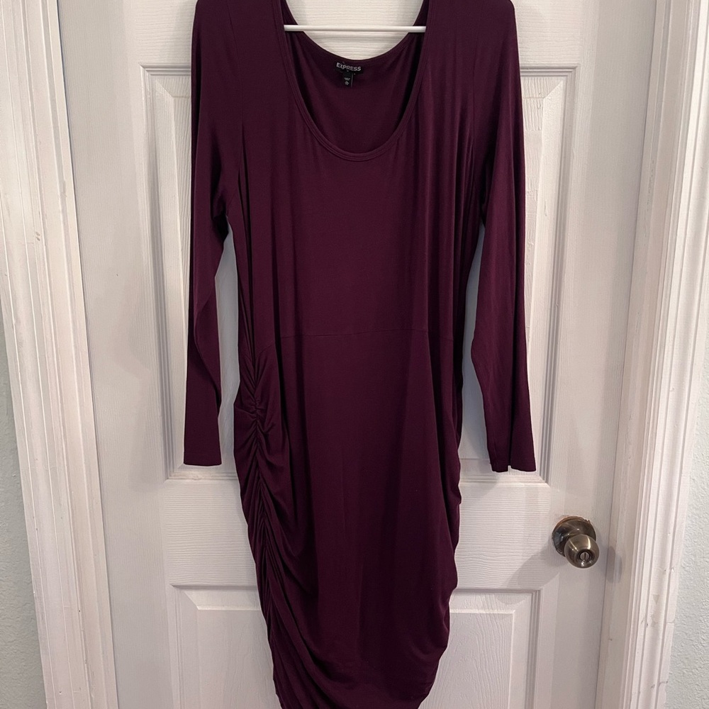 Express Long Sleeve Ruched Scoop Dress - Plum